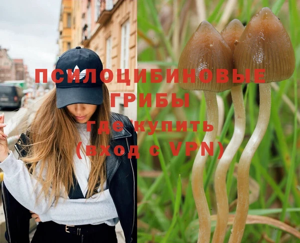 дмт Бронницы