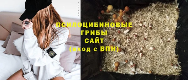 первитин Бородино