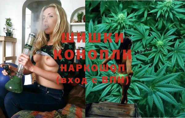дмт Бронницы