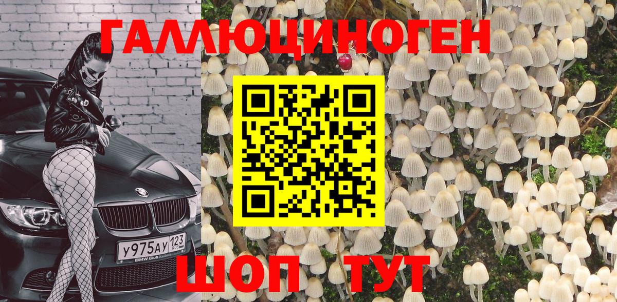 Псилоцибиновые грибы Magic Shrooms Кубинка