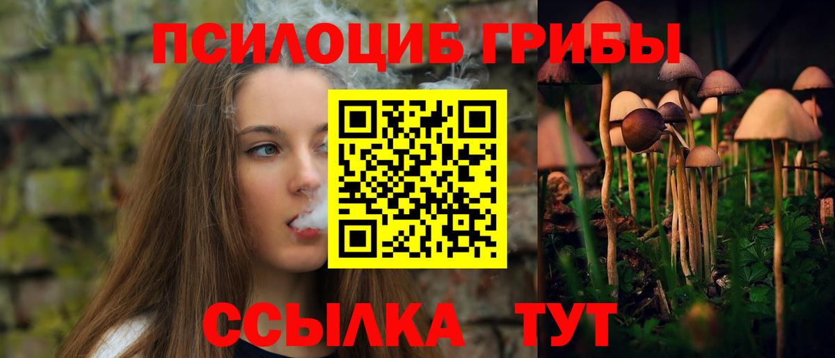 Псилоцибиновые грибы MAGIC MUSHROOMS  Вход с VPN  Галлюциногенные грибы прущие грибы  Кубинка 